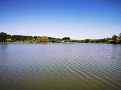 -东郊湿地公园
