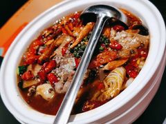 -羽鸽集·乳鸽专门店·地道顺德菜(岭南站店)