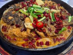 -老板恋上鱼(高新万达店)