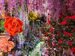 -正佳雨林生态植物园