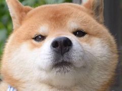 -鱼库·不仅是一家烤鱼店(车公庙店)