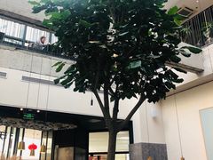 -大树餐厅(红旗街万达店)