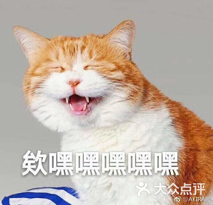 谢蟹浓肉蟹煲(新奥购物中心店)图片 - 第5张