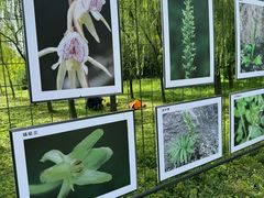 -野鸭湖国家湿地公园