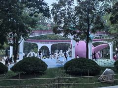 -张店儿童公园