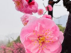 -艾溪湖湿地公园