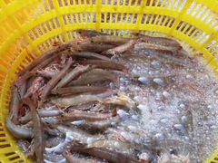 -浪琴湾尾角仔海鲜坊