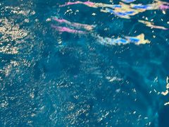 -杭州浪浪浪水公园