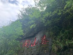 -娄山关景区