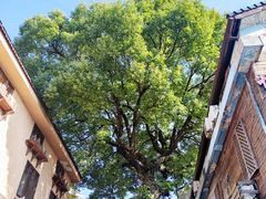 -杭州西湖风景名胜区-满觉陇四眼井