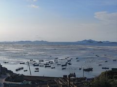 -枸杞岛