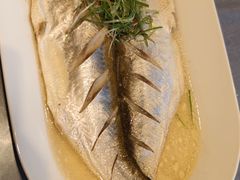 清蒸白鱼-吴越荣记苏州菜·松鼠桂鱼(月光码头店)