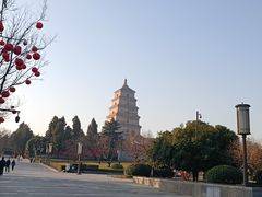-大慈恩寺(大雁塔)