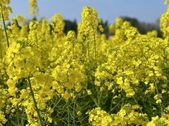 -中国天府农业博览园