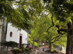 -严子陵钓台(富春江小三峡)