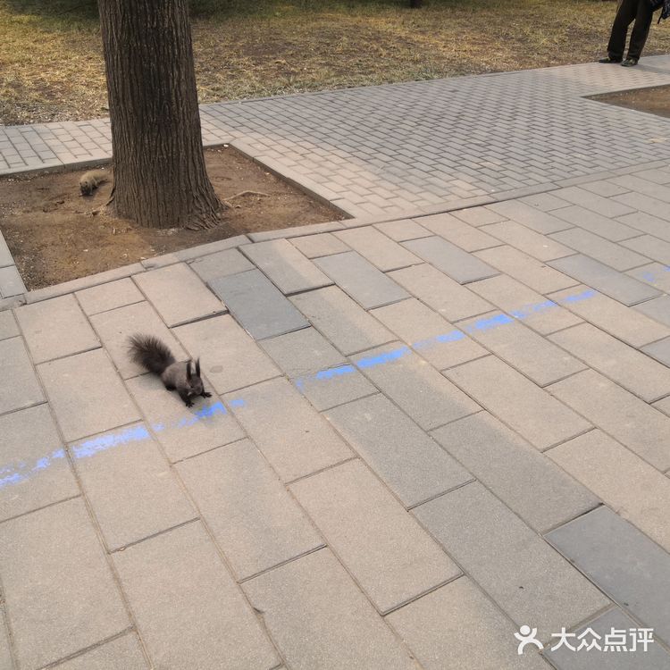 门票价格  公园分淡旺季。旺季联票28元