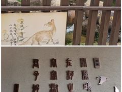 -诗经里