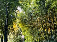 -红螺寺