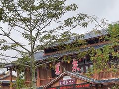 -靖西鹅泉风景区