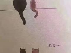 -瑞伯克牛排自助餐厅天一广场店