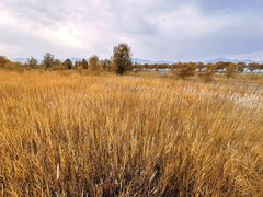 -野鸭湖国家湿地公园