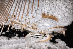 点击看大图 -三色锦婚礼定制