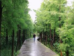 -云龙湖旅游景区