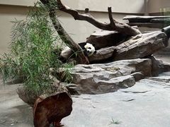 -宁波野生动物园