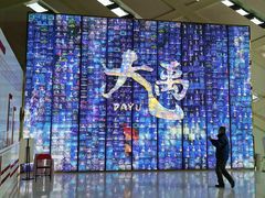 -重庆国际马戏城