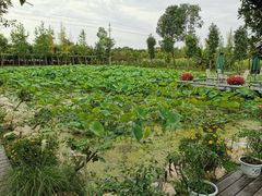 -洪湖家庭农场·团建·露营·会议