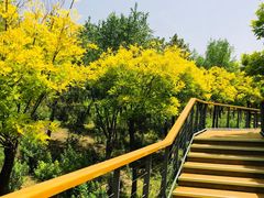 -东郊湿地公园