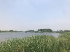 -丁香湖公园