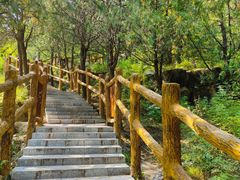 -白水寺森林公园