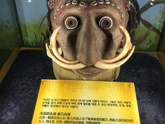 -信不信由你博物馆