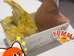 -野人先生现做冰淇淋(北京环宇荟店)