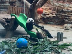 -石家庄市动物园