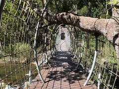 -海南热带雨林国家公园吊罗山景区