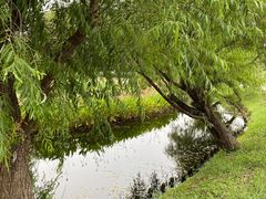 -前小桔亲子创意农场·草莓采摘·露营烧烤