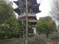 -武汉园博园(武汉自然博物馆)