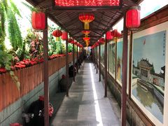-窄巷子陕菜馆·地道陕西菜(粉巷店)
