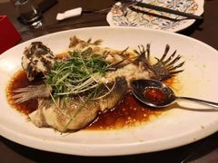 -九朝会昆曲·宴(望京店)