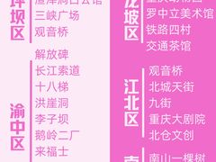 -烤匠麻辣烤鱼(观音桥大融城店)