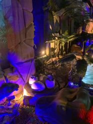 -恐龙探索乐园(磁器口店)