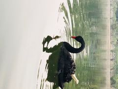 -钓鱼台国宾馆