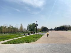 -汉长安城未央宫国家考古遗址公园