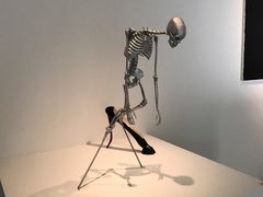 -金泽21世纪美术馆