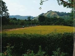 -帐篷客·溪龙茶谷度假酒店