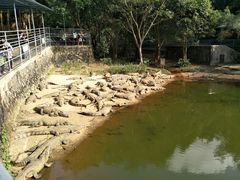-广东茂名森林公园