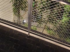 -吉隆坡国际机场