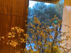 -八府香鸭·啫啫煲(华山路店)